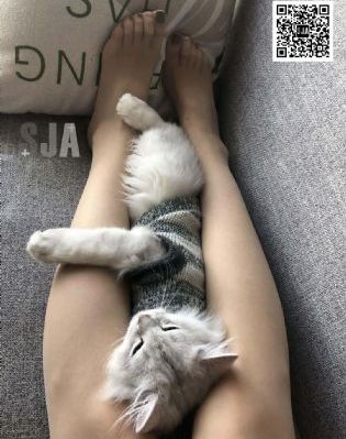 激情免费观看_BD国语免费观看电视剧
